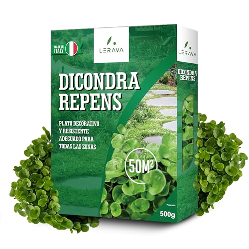 LERAVA® Dichondra repens semillas [No es necesario cortar] - 50m² - Resistencia a la sequía - Semillas cesped de dichondra ideales para zonas sombreadas y soleadas - Semillas de cesped - 500g