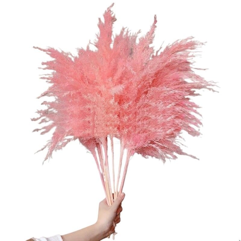 Pampas Grass Large Decorative Plumes Flores White, Pink Bouquet miniatura 2