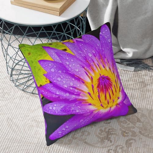 Housse de coussin nénuphar violet en velours pour déco salon