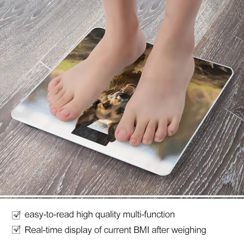 Báscula digital de baño para mascotas 400 lb capacidad miniatura 5