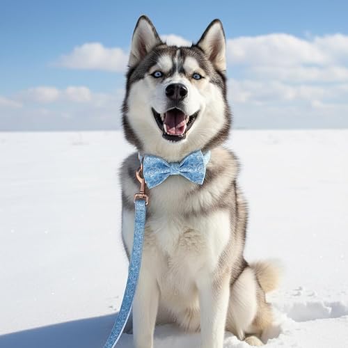 Miniatura 26 de PETDURO Collar de perro personalizado con nombre y teléfono grabado en hebilla de metal – Personalizado para perros medianos y grandes – Impresiones