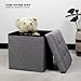 B FSOBEIIALEO Storage Ottoman Cube, Toy Chest Folding Footrest for Living Room Seat, 12.6