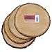 Basswood Round Unsanded, Pack of 4, 7"-9" Diameter x 1" Thick
