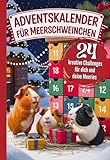 Adventskalender für Meerschweinchen: 24 kreative Beschäftigungsideen & lustige...