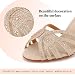 Imagen de Syrads Zapatos de Baile para Mujer salón Salsa Latina Punta Abierta Zapatos de Baile para Principiantes sociales Fiesta Boda Rendimiento