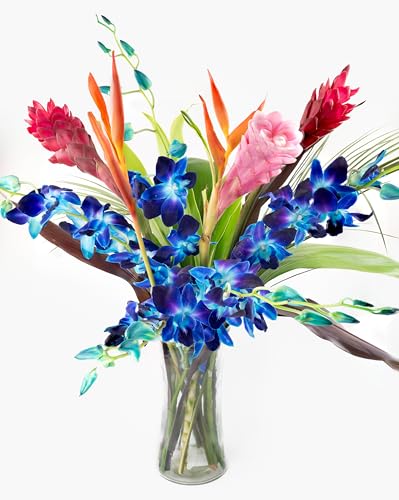 Fresh Orchids and Tropical Flower Bouquet, Perfect...