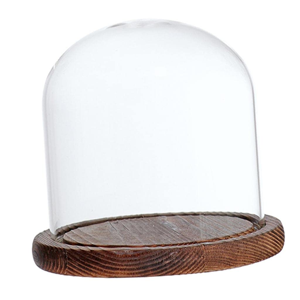 Fenteer Glashaube Glasglocke Glassturz mit Holzboden DIY Landschaften Fairy Garten Terrarium, Braun E