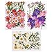 Veraing 105 Stück Natürliche Getrocknete Blumen, DIY Gepresste Blumen Gemischte Getrocknete Blätter Getrocknet Gänseblümchen Gemischt für Kunst Basteln DIY Harz Scrapbooking Handwerk Karten Machen