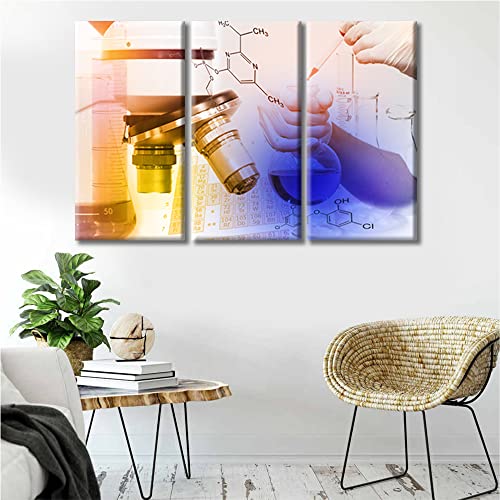 Image of TUMOVO Canvas Wall Art Medical Examination Poster Canvas Paintings Wall Art 3 Panel Medical Wall Decor for Living Room, Bedroom, Bathroom, Office. Framed Ready to Hang (36 inch Wx24 H)