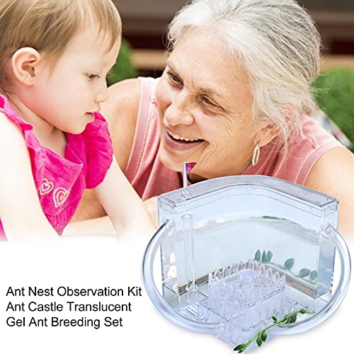 Mierenboerderij Kasteel Doorschijnende Gel Mierenteelt Set Mierennest Observatie Kit Insect Ecologie Doos voor Kinderen… - Afbeelding 4