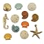 Beach Treasures