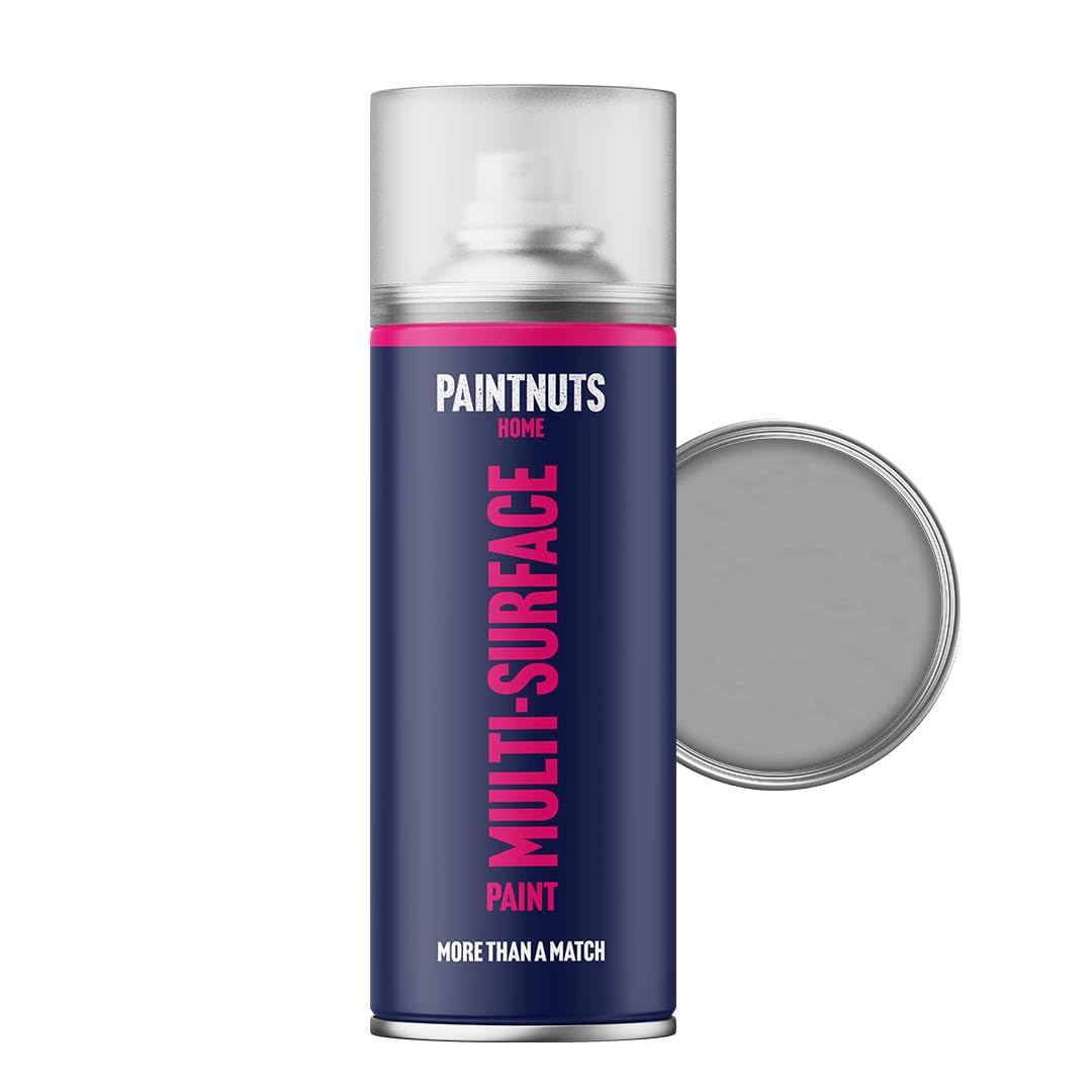 Paintnuts Silver Metalic (Ral-9006) Rapid Dry Metal Paint, Matt Finish 400Ml Aerosol