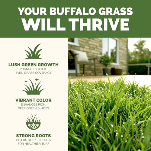 Fertilizante Líquido para Césped Buffalo Grass 1 Galón miniatura 2
