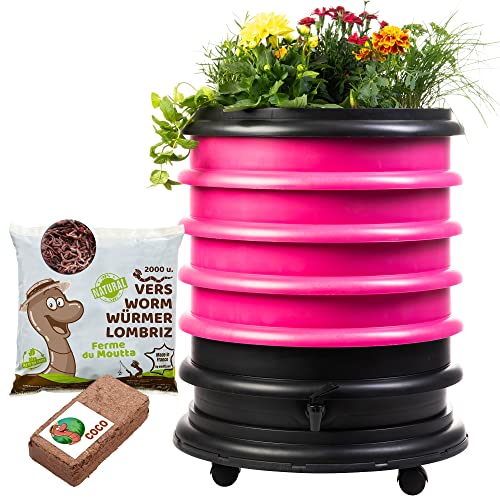 WORMbox | Wormery Worm Farm composter 4 Fuchsia Trays + Planter + 1kg of Compost Worms / 2000 ctn + 1 Coco | 64 liters | Organic Waste Compost, make your Worm Castings