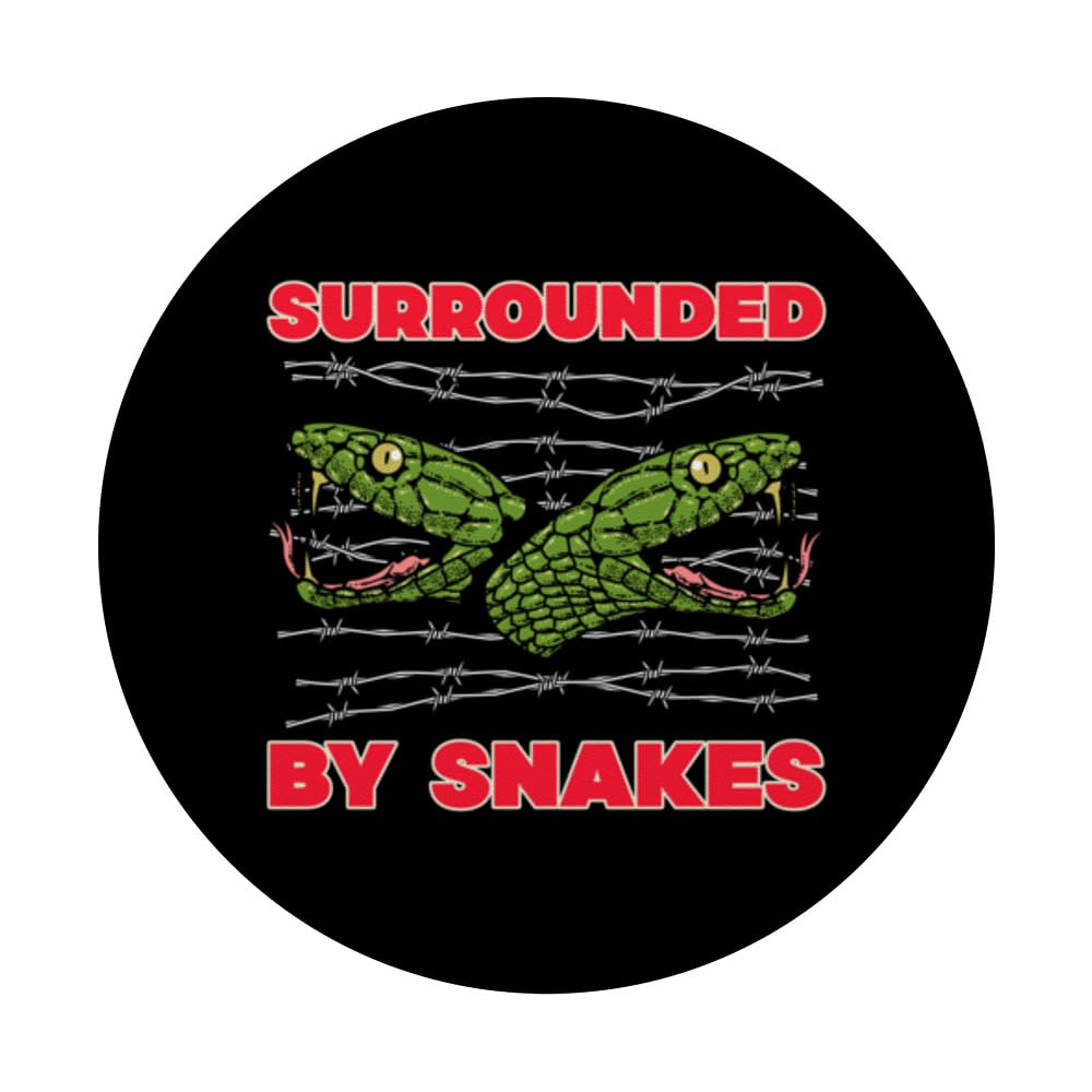 Funny snake memes (92) 사진