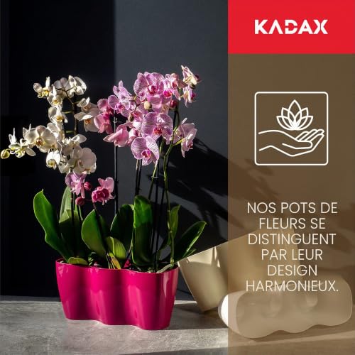 Pot de fleurs orchidées intérieur extérieur grand cache-pot crème