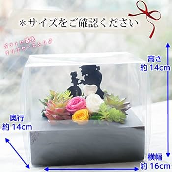 ブリザードフラワー　美女と野獣 デスティニーローズディズニーエディション(美女と野獣