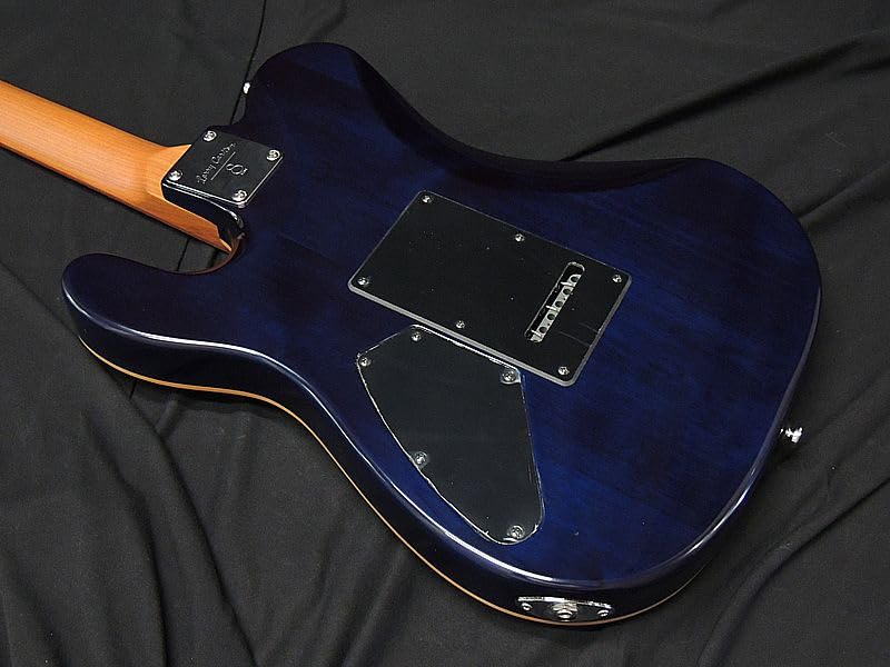 Amazon | Sire Larry Carlton T7 FM TBL Flame Maple サイアー ラリー