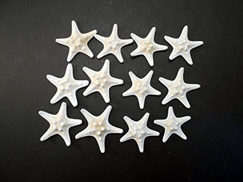 NBONEBS Set of 12 White Knobby Starfish for Beach Wedding Crafts and Decor 2