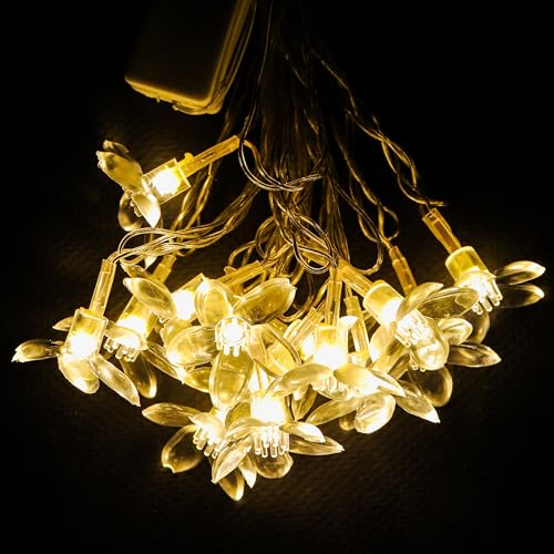 Image of Lexton Fairy 14 Glory Flower LED String Light | 14 LED, Plug Sourced, 4 Meter Long | Suitable for Diwali, Birthday, Festival, Wedding, Party, Lawn, Restaurants (Pack of 1, Warm White)