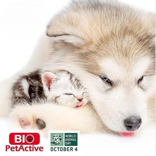 Image of Bio Pet Active Puppy Potty Training Spray, Indoor Outdoor Potty Training Aid for Dogs and Puppies, Potty Pads for Puppy Potty Training, 3.38 fl oz, white