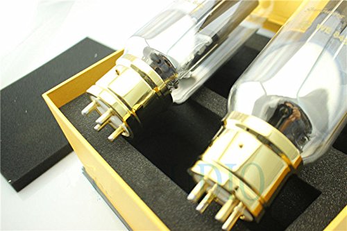 Amazon | J-bestshop SHUGUANG WE845 Hifi マッチドペア（2本