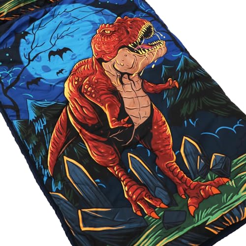 Image of Kids Sleeping Bag - 61 inch Extra-Long Slumber Bag with Detachable Pillow - All Seasons for Older Children & Girls - Large Portable Indoor Bedding for Home, Travel & Naps