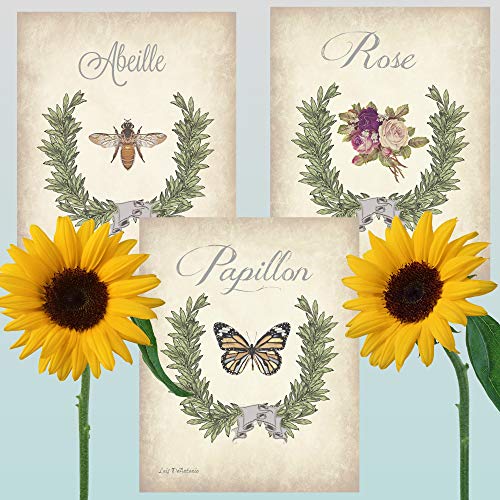 Garden Botanical Print set of three, French Country Bathroom art Butterfly Rose Bee Art prints Shabby Chic bedroom decor Cottage Chic wall decor Antique Insect Vintage Home Decor