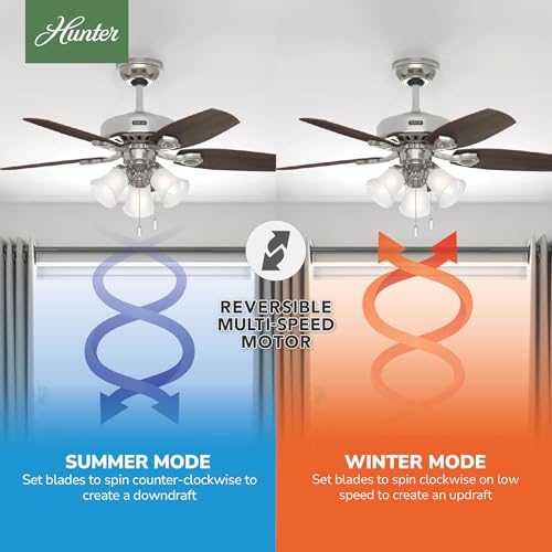 Image of Hunter Builder, Indoor, Ceiling Fan, Pull Chain, 42 inch, Brushed Nickel