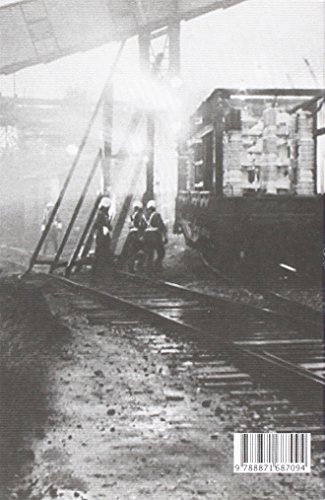Picnic sul ciglio della strada. Stalker
