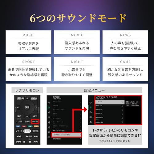 REGZA RA-B100サムネイル7