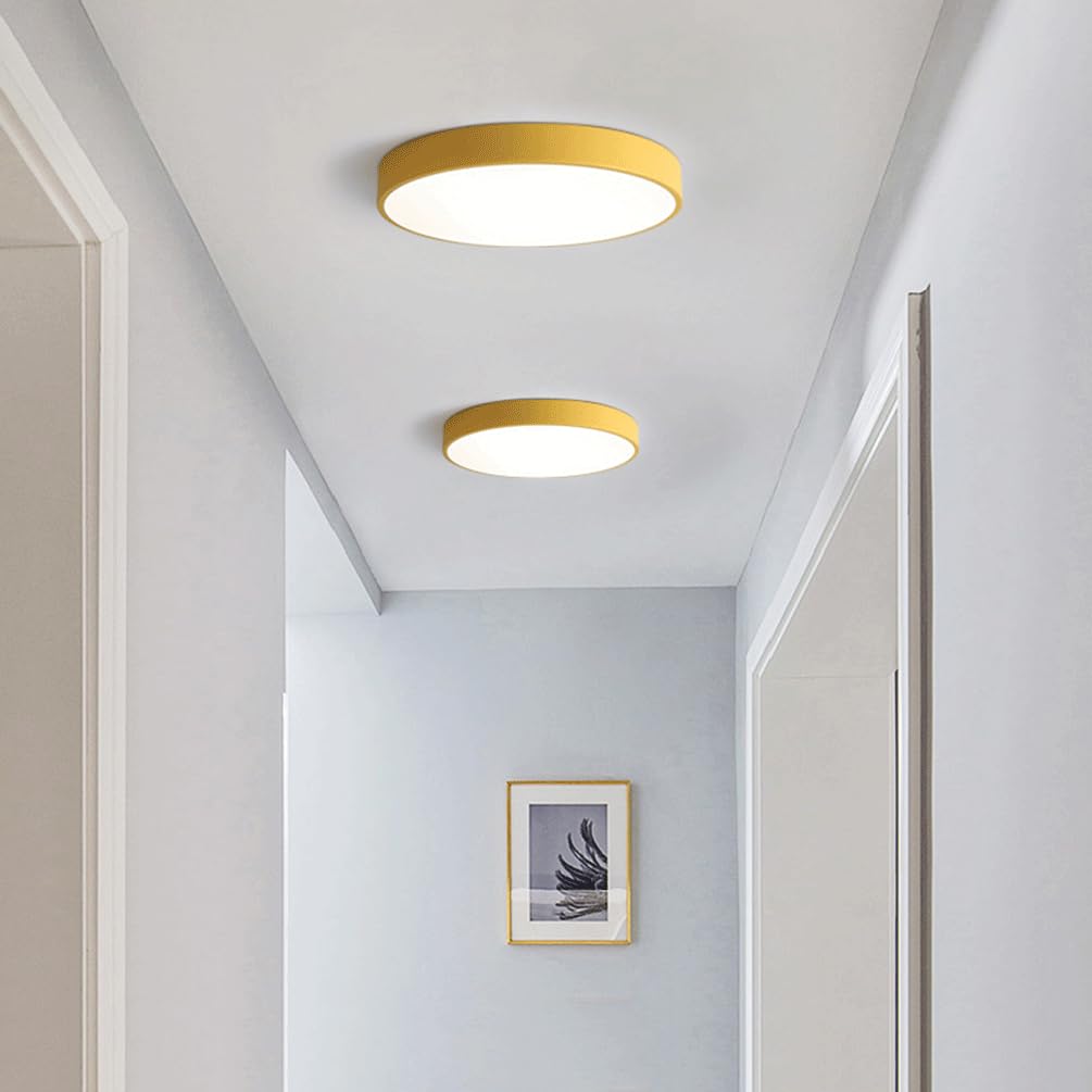 Plafon de Techo Moderna Lámpara de Techo Empotrada Multicolor Ultrafina con 3 Niveles de Intensidad Regulable para Dormitorio Sala de Estar Y Comedor