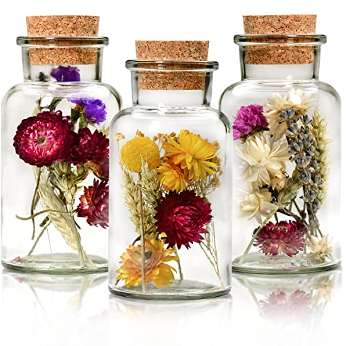 Die Gudn Trockenblumen im Glas (getrocknete Blumen im Glas, Trockenblumendeko, Trockenblumen, Deko mit getrockneten Blumen, Tischdekoration) (Apotheker (3er Set))