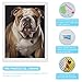 HETVBNS Diamond Painting Kits for Adults 5D Diamond Art Kit English Bulldog Paint by Diamonds for Beginners DIY Full Drill Diamonds Dots Paintings Wall Decor 12