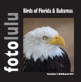 Birds of Florida & Bahamas: fotolulu's Bildband XIV