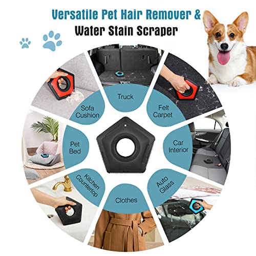 Image of VavoPaw Hair Remover, 2Pack Pet Detailer Brush for Couch, Car Interior, Fur Removal for Carpet, Auto Detailing, Furniture, Lint, Sofa, Black