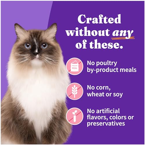 Halo Pate Wet Cat Food, Real Salmon Recipe, 5.5 oz Can, 12-Pack - image 5