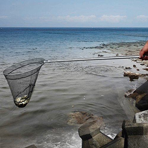 BlueStraw Fishing Landing Net Folding Stainless Steel Fish Carp Landing Net with Extending Non-Slip Pole Handle, Fish Shrimp Bird Butterfly Catching Gear - Thumbnail 3