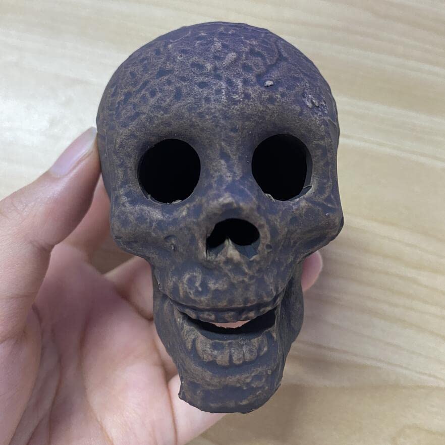 AUTOYSUR Skull Ornament Creative Delicate Realistic Human Skull Statue Head Bone Model for Party, Halloween Decoration (No.3-1PCS)