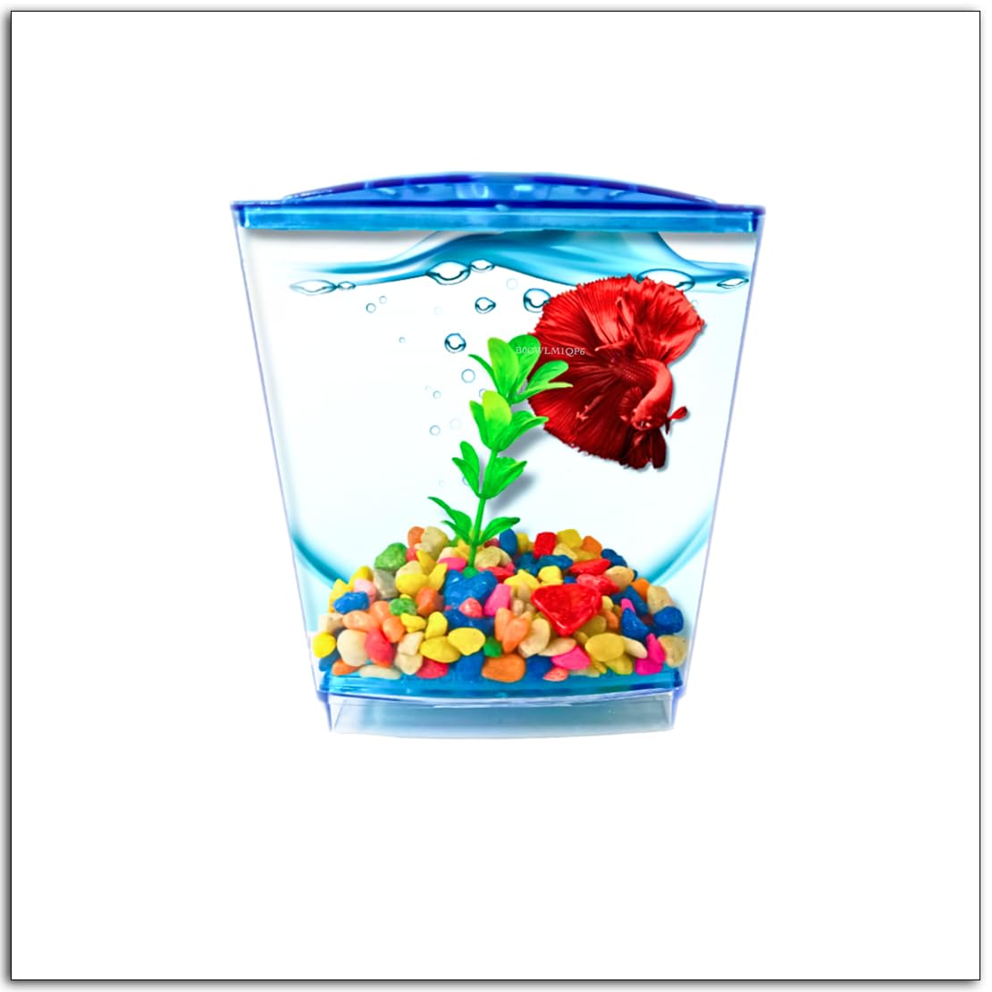 Single Betta Fish Tank Kit For Aquarium - (Stylish Portable Table Aquarium Betta House) - With Artificial Plant Transparent Blue Color - (4 X 3 X 6 Inch)