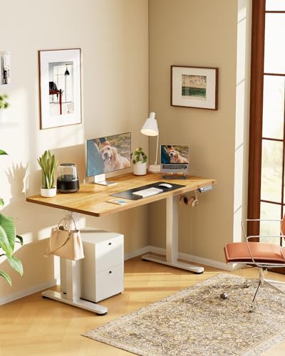 image for ErGear Height Adjustable Electric Standing Desk, 48 x 24 Inches Sit St