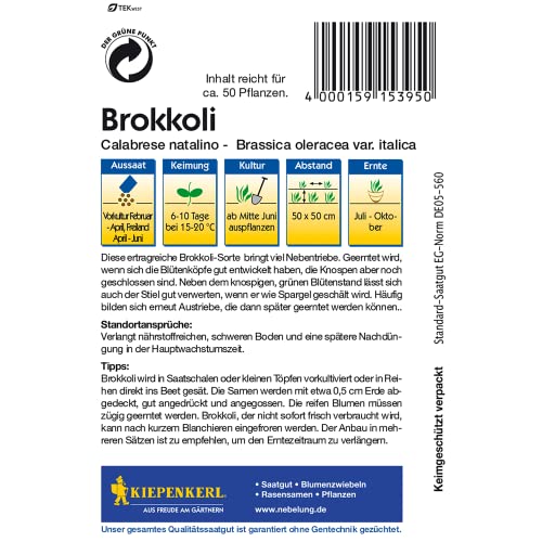 Gemüsesamen - Brokkoli Calabrese natalino von Kiepenkerl - Image 3