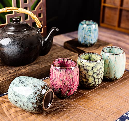 Cteats Chinese/Japanese Style Ceramic Tea Cup Set Coffee Mug Asian Kung Fu Teacups Ceramic Yerba Mate Cup Set(5 Pack) #TOP5