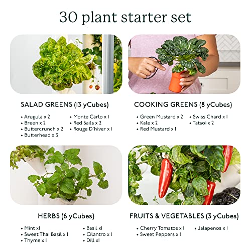 Gardyn 3.0 Hydroponics Growing System & Vertical Garden Planter | Indoor Smart Garden| Includes 30 Non-GMO Indoor Plants, Herbs & Vegetables & LED Grow Lights for Your Home Indoor Gardening System - Image 4