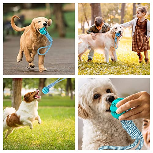 Lusacy 2 Stücke Hundeball mit Schnur, Hundespielzeug Ball mit Seil, Wurfspielzeug Hund Gummi, Hundeball Unzerstörbar 6cm, Kauspielzeug für Große Kleine Hunde Zahnpflege Fangen Tauziehen