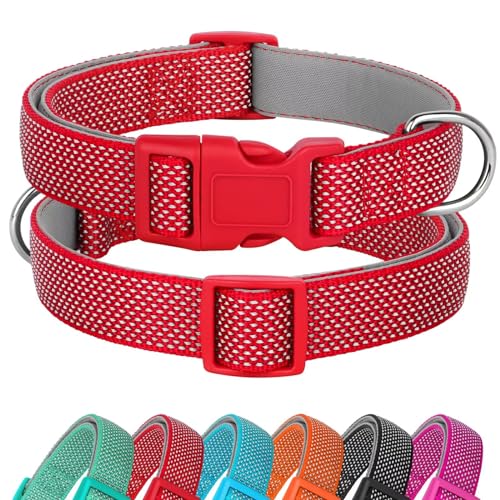 Didog Reflektierendes Hundehalsband mit Schnalle, verstellbar, weiches Neopren, gepolstert, Nylon, Haustierhalsbänder für kleine, mittelgroße und große Hunde, Rot, M