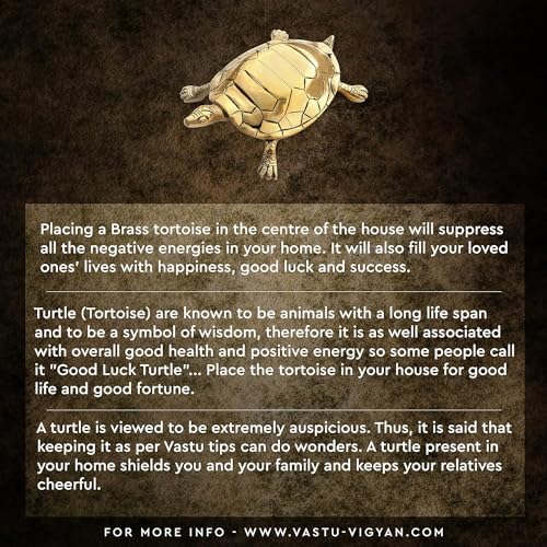 Image of Brass Vaastu Tortoise | Turtle | Weight - 1120 Gram Approx | Size - 22 x 12 cm | Feng Shui | Vastu Shastra Remedies | Turtle for Good Luck | Pack of 1