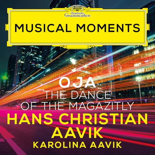 Hans Christian Aavik