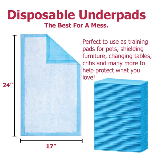 Dealmed Standard Non-Sterile Medical Underpads, 300 Count Disposable 2-Ply Tissue Fill, 24" X 17", Blue, 300 Count, Perfect For Pet Pads, Furniture Protection And More, 100 Count (3 Pack) #TOP4