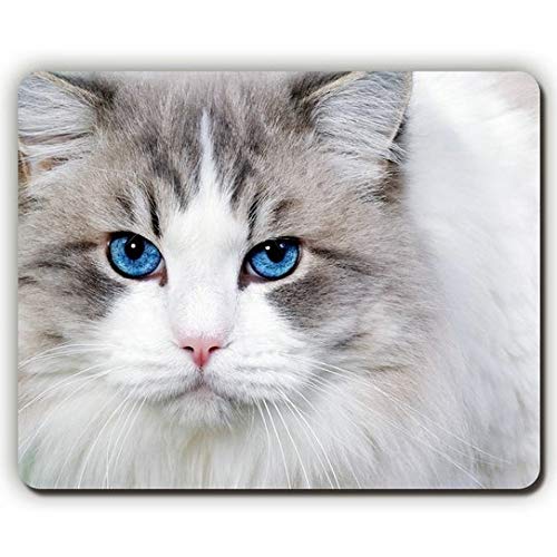 Gaming Mousepad Mit Katzen-Design – Rutschfeste Unterseite, Waschbar, In Verschiedenen Größen (bis 30x25 Cm)